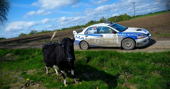 Rajd Lotos